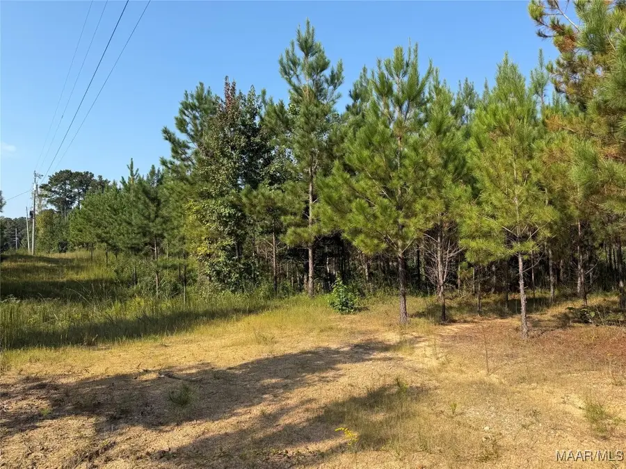 Lot 7 Grass Farm Road, Titus, AL 36092 - Image #3