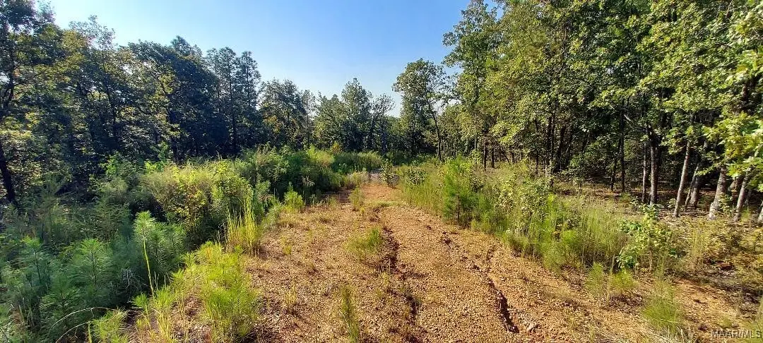 Lot 10 & Lot 9 Jug Factory Road, Wetumpka, AL 36093 - Image #1