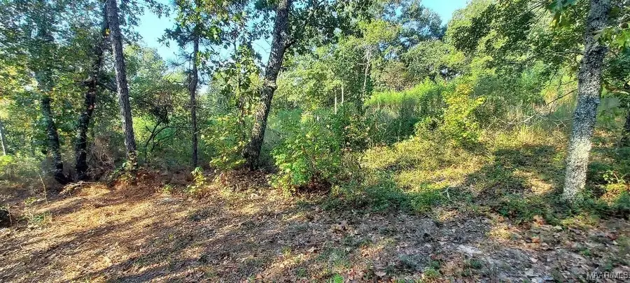 Lot 10 & Lot 9 Jug Factory Road, Wetumpka, AL 36093 - Image #3