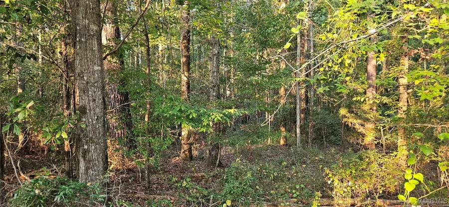 0000 Old Sellers Road, Ramer, AL 36069 - Image #2