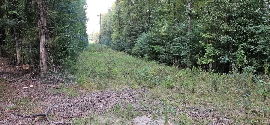 0000 Old Sellers Road, Ramer, AL 36069 - Image #3
