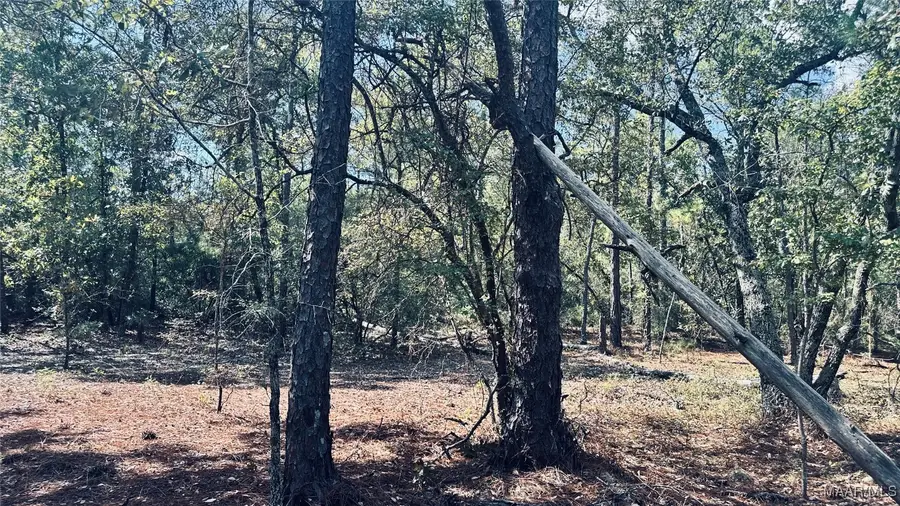 00 County Road 69, Prattville, AL 36067 - Image #2