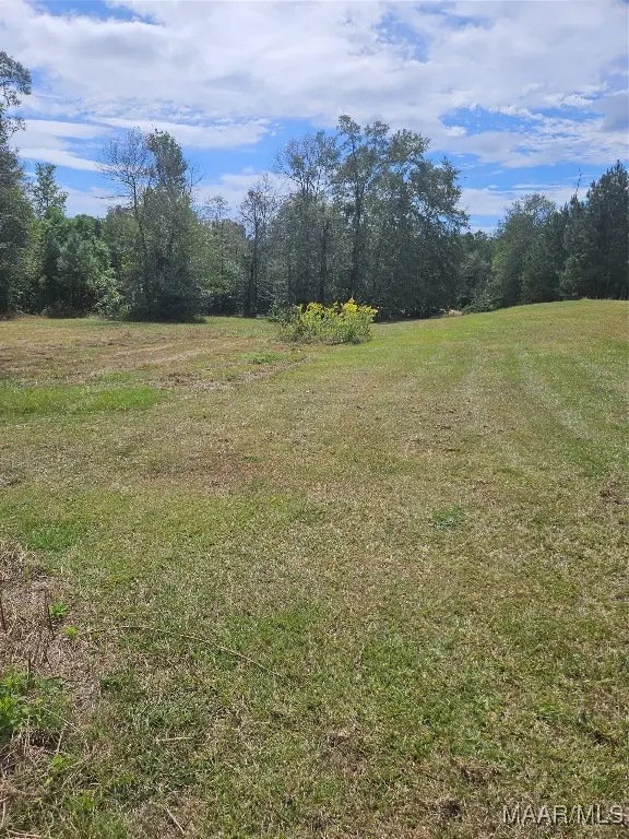 118 Fox Run, Deatsville, AL 36022 - Image #2