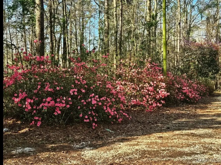 11143 Highway 31, Fort Deposit, AL 36032 - Image #3