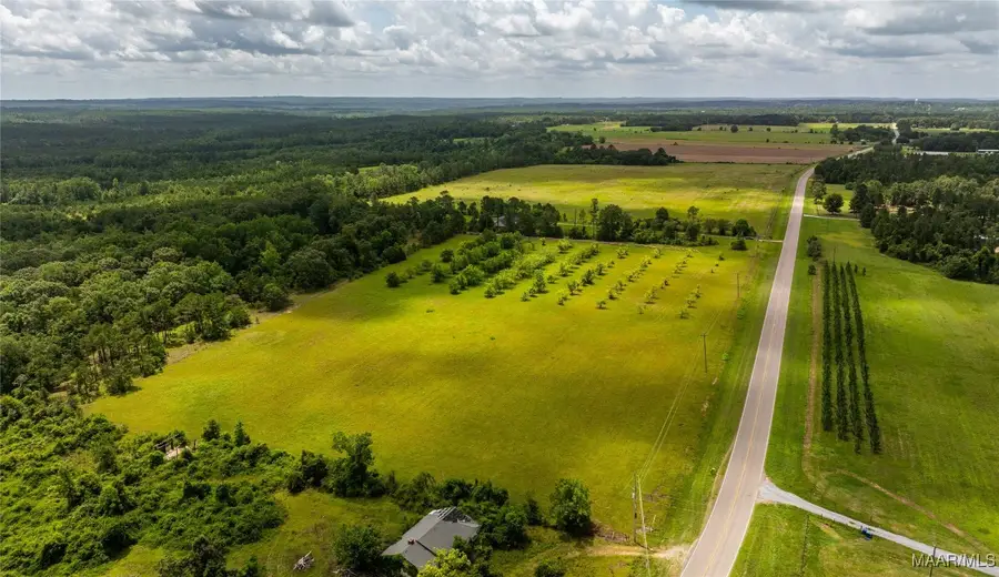 10 County Road 57, Pine Level, AL 36022 - Image #2