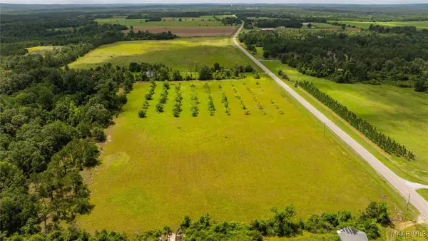 14 County Road 57, Pine Level, AL 36022