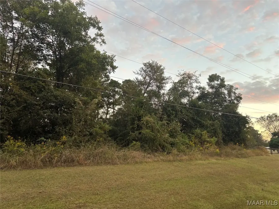 2075 County Rd 81 Road, Valley Grande, AL 36703 - Image #2