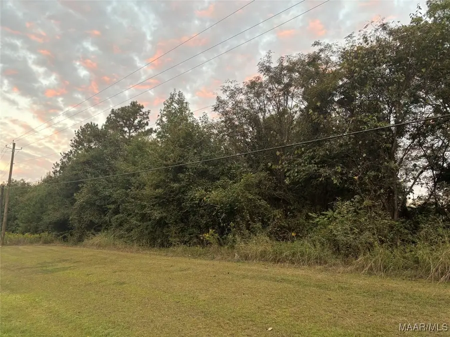 2075 County Rd 81 Road, Valley Grande, AL 36703 - Image #3