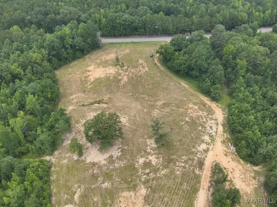3124 Grass Farm Road, Equality, AL 36026 - Image #3