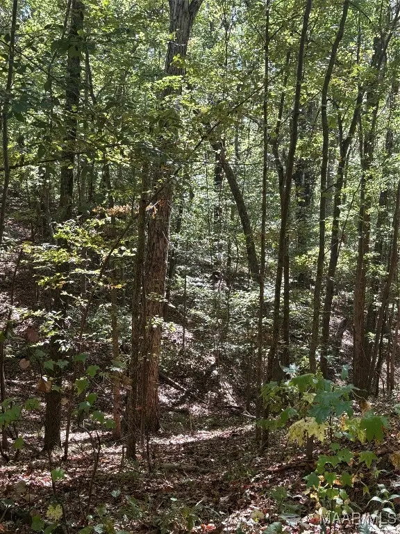 130 Trillium Road, Wetumpka, AL 36092 - Image #2