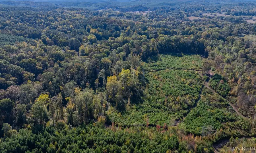 0 Sawyers Cove Road, Calera, AL 35040 - Image #3
