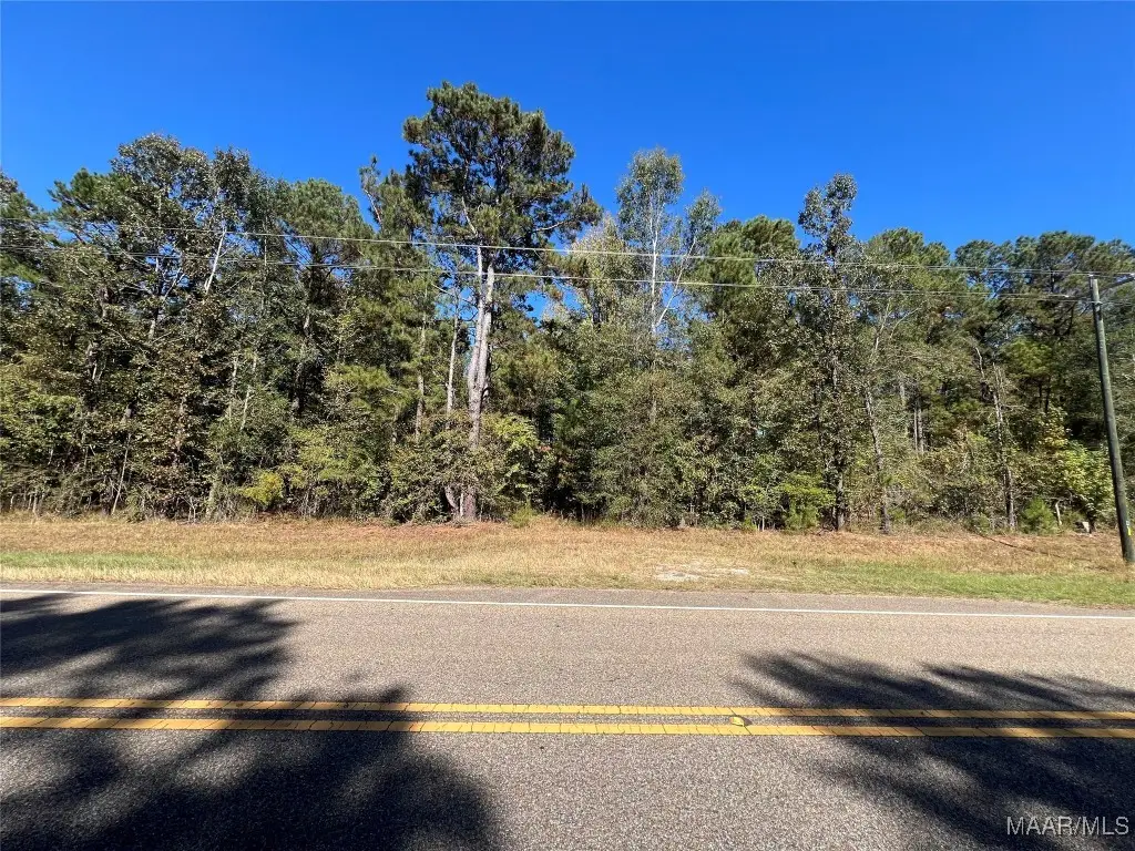 1169 Hwy 82 Road, Mathews, AL 36052 - Image #1