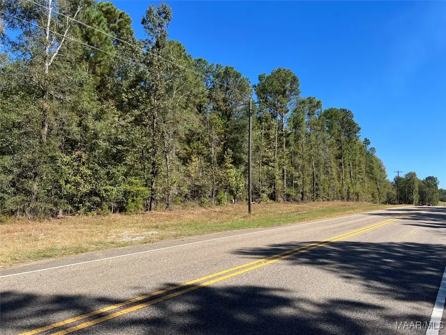 1169 Hwy 82 Road, Mathews, AL 36052 - Image #2
