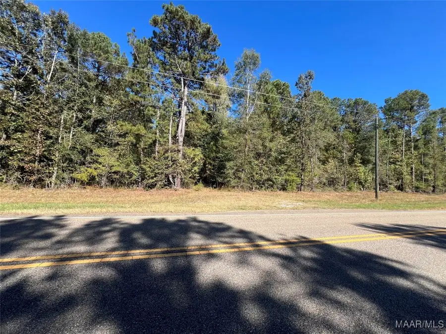 1169 Hwy 82 Road, Mathews, AL 36052 - Image #3