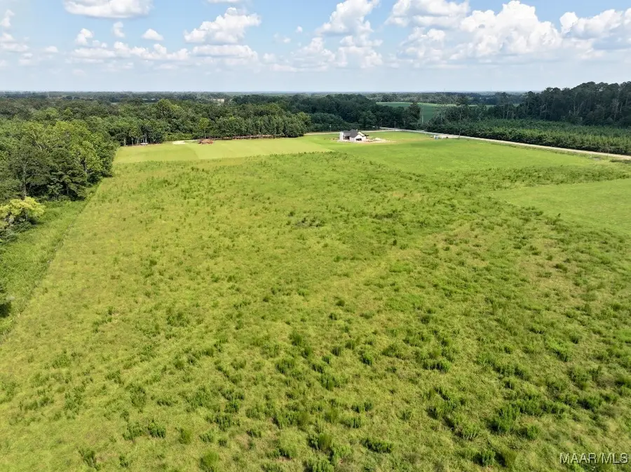 22 Honoraville Road, Greenville, AL 36037 - Image #3