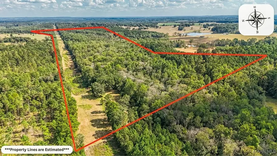 83 County Road 4409 Road, Troy, AL 36010 - Image #2