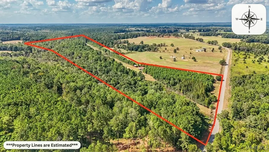 83 County Road 4409 Road, Troy, AL 36010 - Image #3