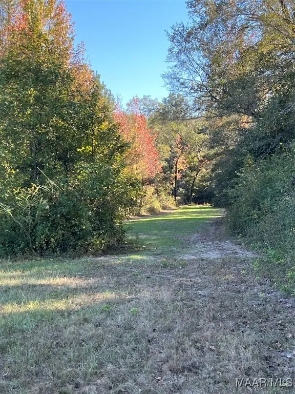 75 Highway 82 W, Booth, AL 36008 - Image #3