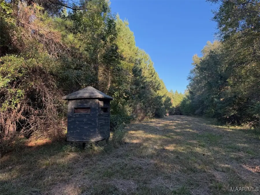 133 County Road 37, Troy, AL 36081 - Image #2