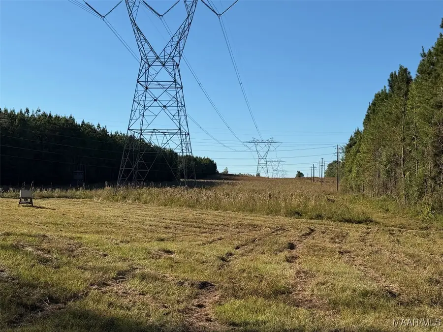 133 County Road 37, Troy, AL 36081 - Image #3