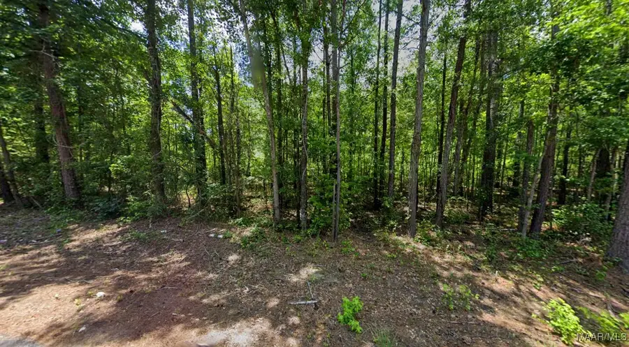 0 Lee Road #175, Salem, AL 36874 - Image #2