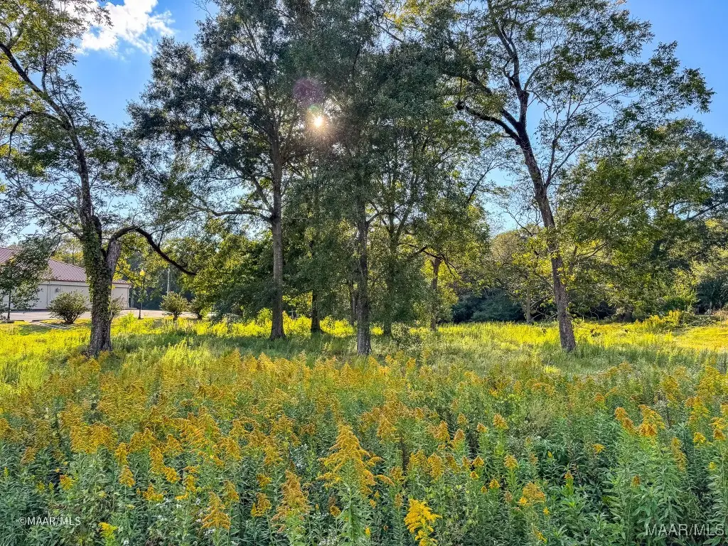 0 N Jackson Street, Grove Hill, AL 36451 - Image #1