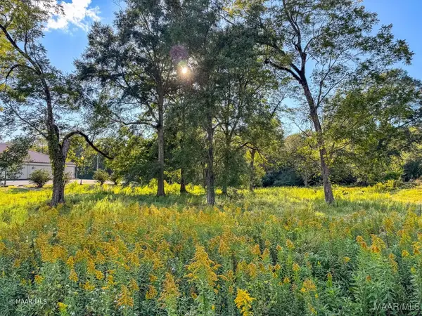 0 N Jackson Street, Grove Hill, AL 36451