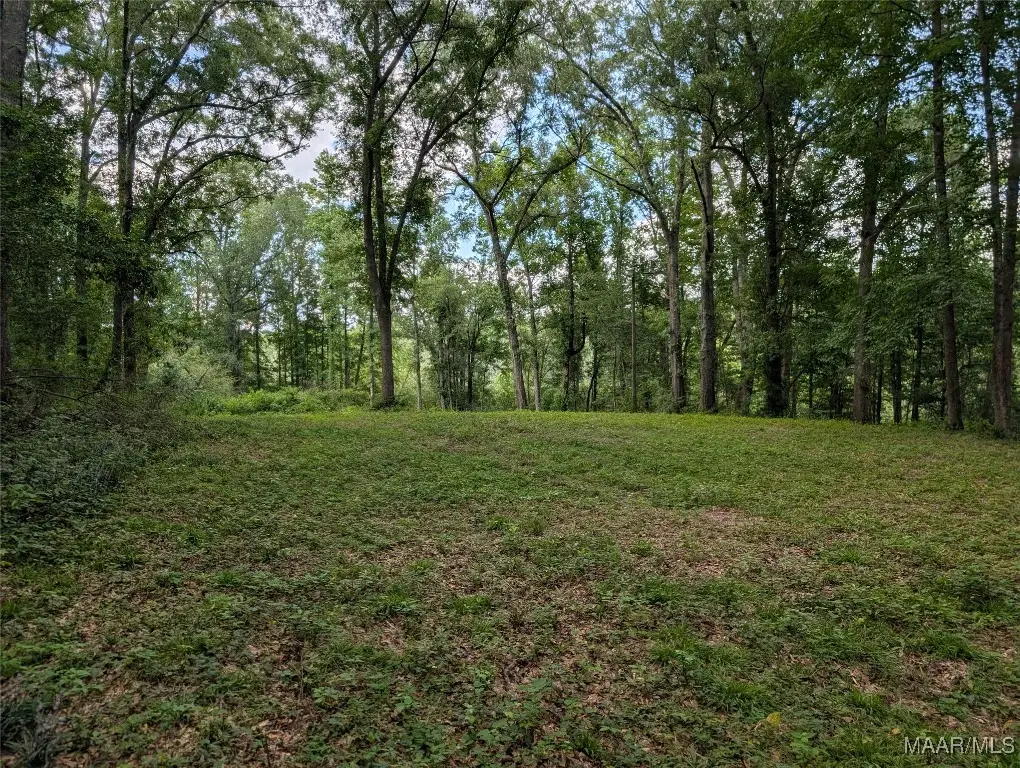 0 Melt Flowers Road, Troy, AL 36081 - Image #1