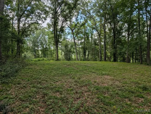 0 Melt Flowers Road, Troy, AL 36081