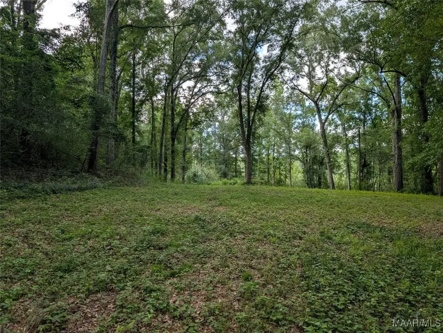 0 Melt Flowers Road, Troy, AL 36081 - Image #3