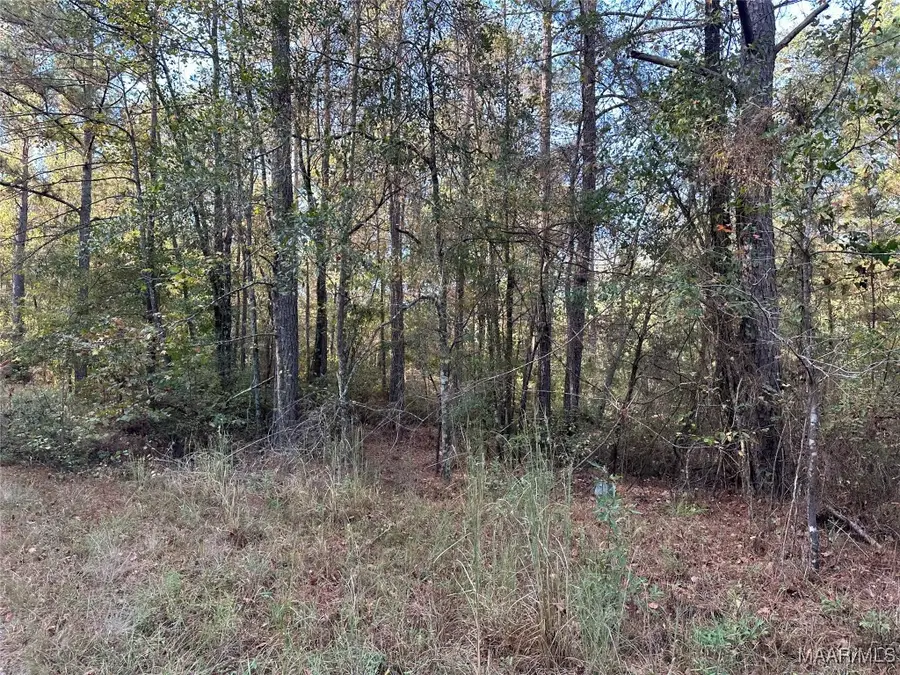 84 Chubbehatchee Circle, Wetumpka, AL 36093 - Image #2