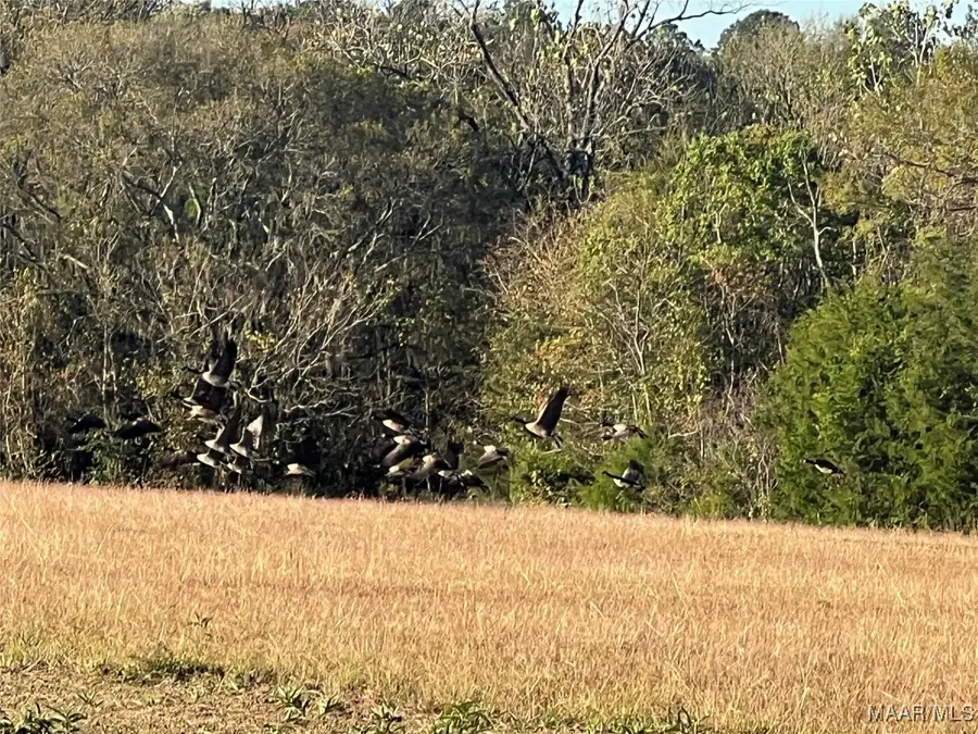 2193 Grant Road, Montgomery, AL 36105 - Image #3