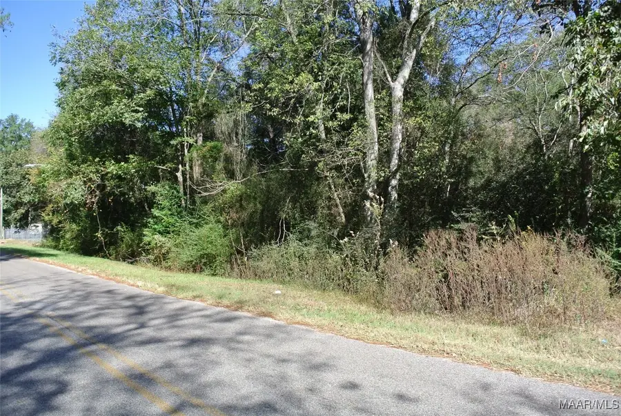 0 S Pickett Street, Autaugaville, AL 36003 - Image #2