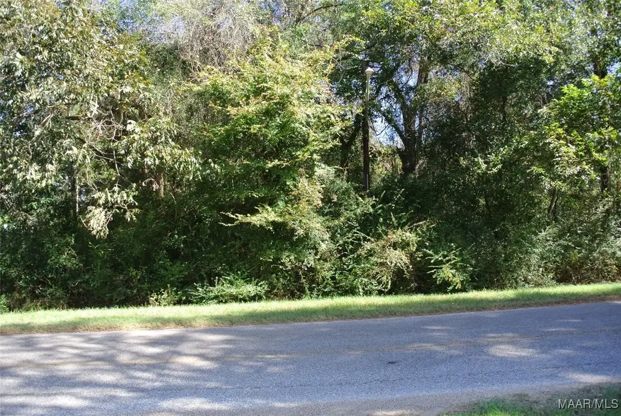 0 S Pickett Street, Autaugaville, AL 36003 - Image #3