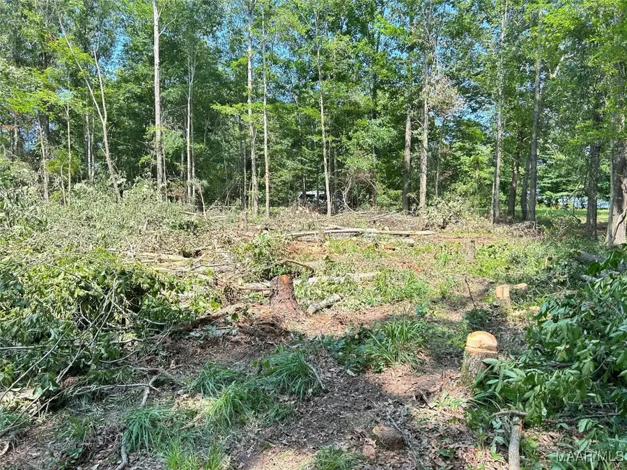 25 Edgewood Court, Mathews, AL 36064 - Image #2