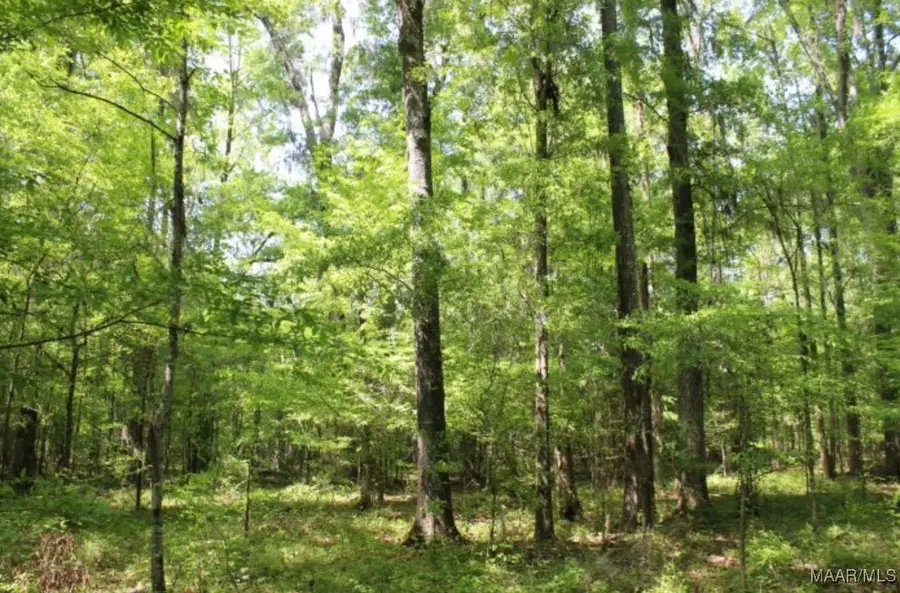 0 Vaughn Road, Pike Road, AL 36064 - Image #3