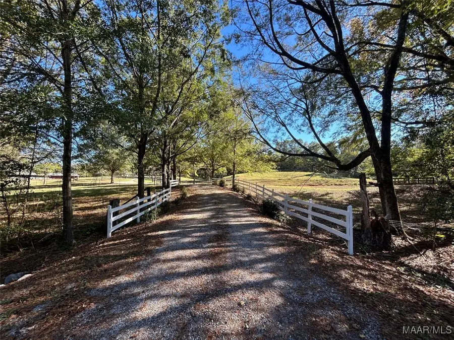 982 Highway 28 Highway E, Camden, AL 36726 - Image #3