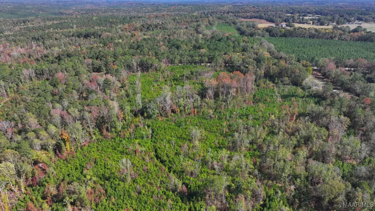 465 N Ann Street, Eclectic, AL 36024 - Image #1