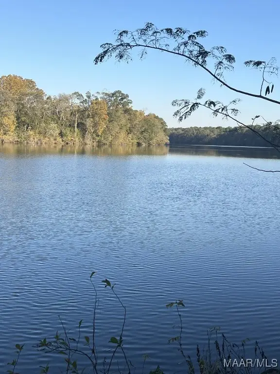 3 River Road, Lowndesboro, AL 36752 - Image #3