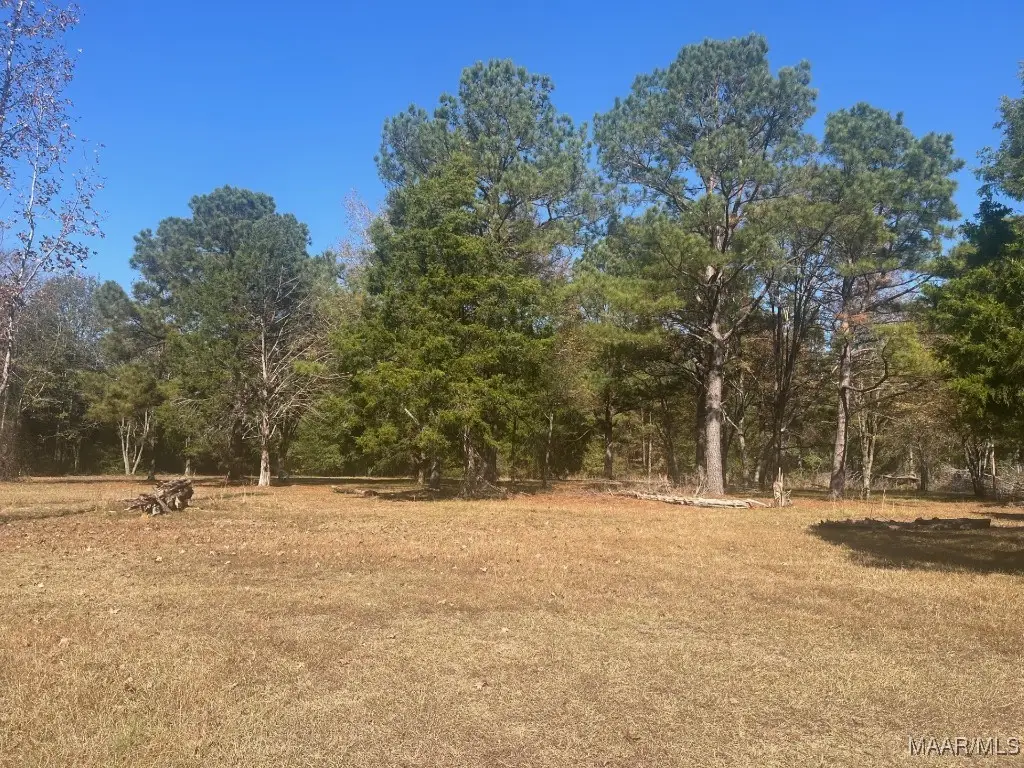 4.36 Acre Lot Highway 80 Highway, Shorter, AL 36075 - Image #1