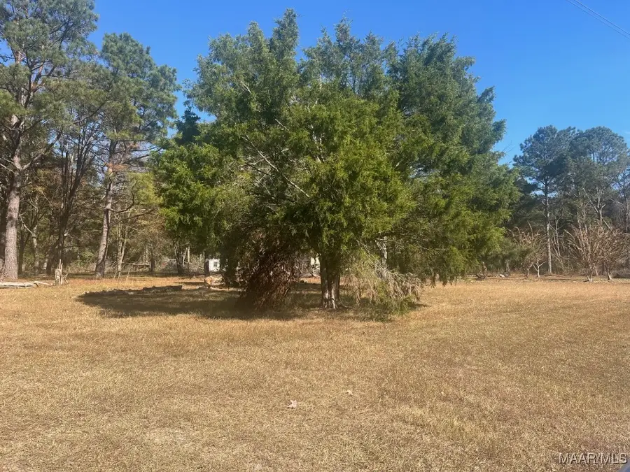 4.36 Acre Lot Highway 80 Highway, Shorter, AL 36075 - Image #3