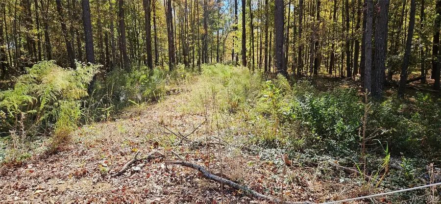 411 Pugh Road, Mathews, AL 36052 - Image #3