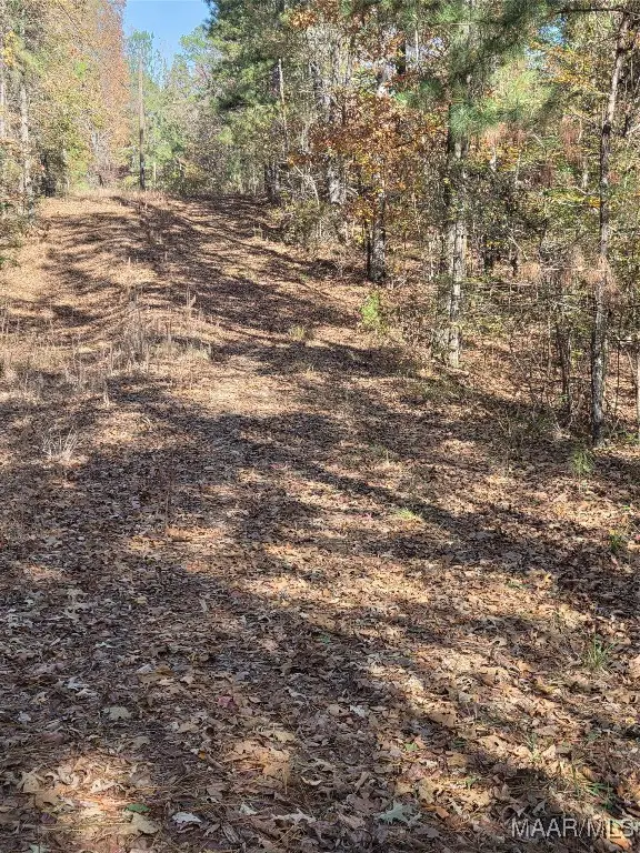 0 Parker Road, Wetumpka, AL 360 - Image #1