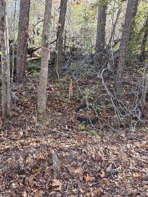 0 Parker Road, Wetumpka, AL 360 - Image #2