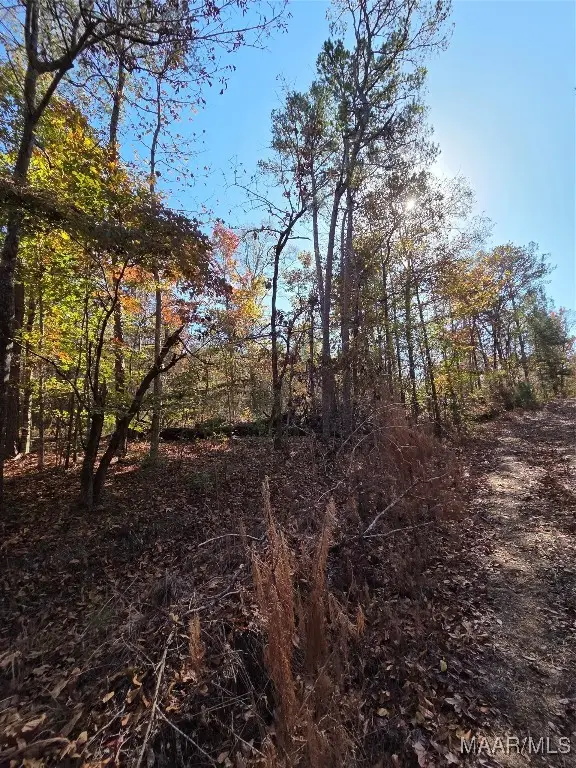0 Parker Road, Wetumpka, AL 360 - Image #3
