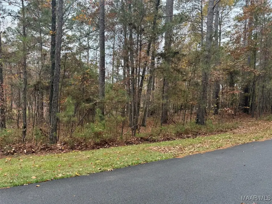 1 Willow Lane, Alexander City, AL 35010 - Image #3