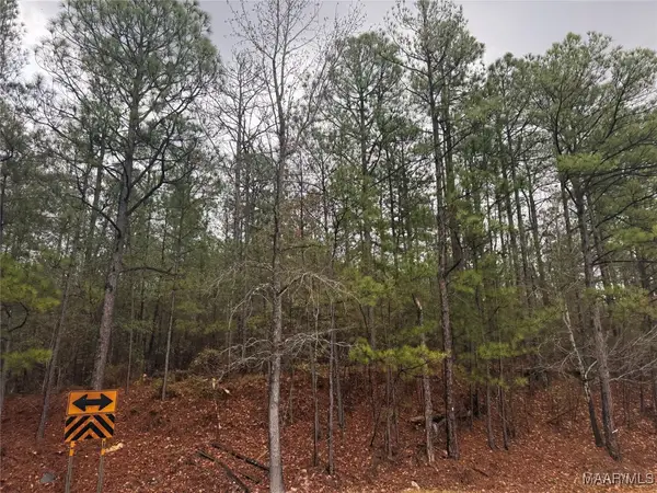 0 Flatrock Road, Tallassee, AL 36078