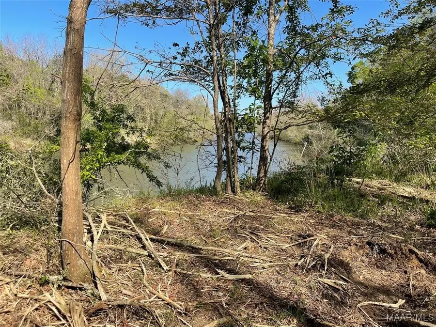 0 Twin Rivers Drive, Selma, AL 36702 - #2