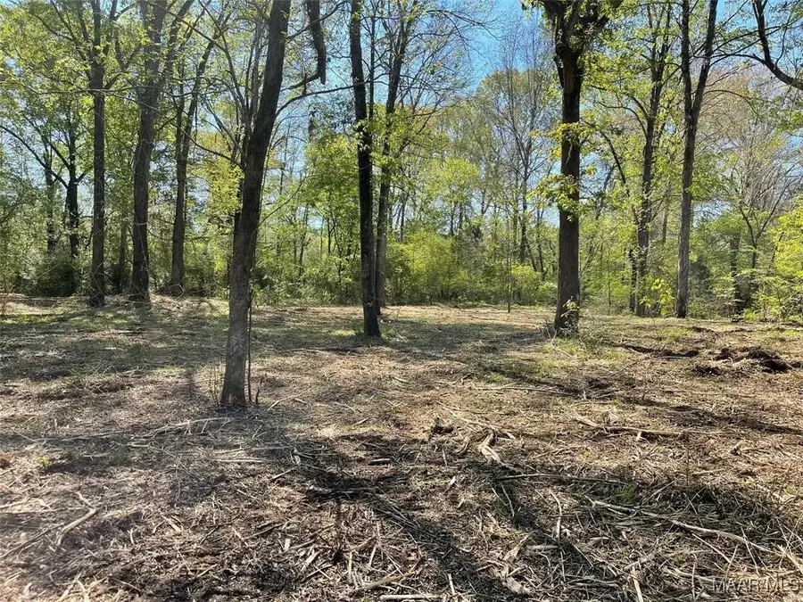 0 Twin Rivers Drive, Selma, AL 36702 - #3