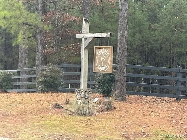 12B Highway 69 Highway #12B, Chelsea, AL 35043 - #1